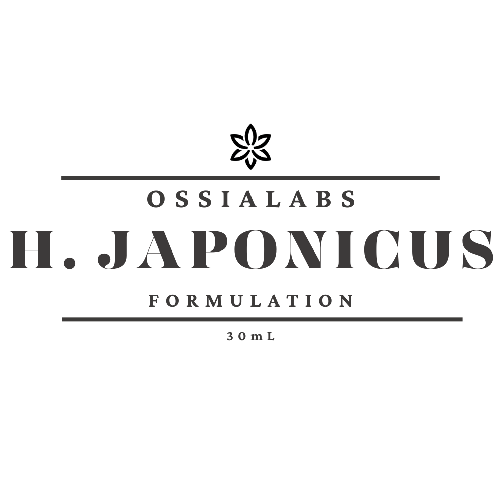Humulus Japonicus SNEDDS