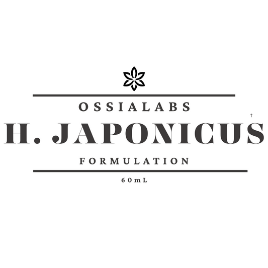 Humulus Japonicus SNEDDS