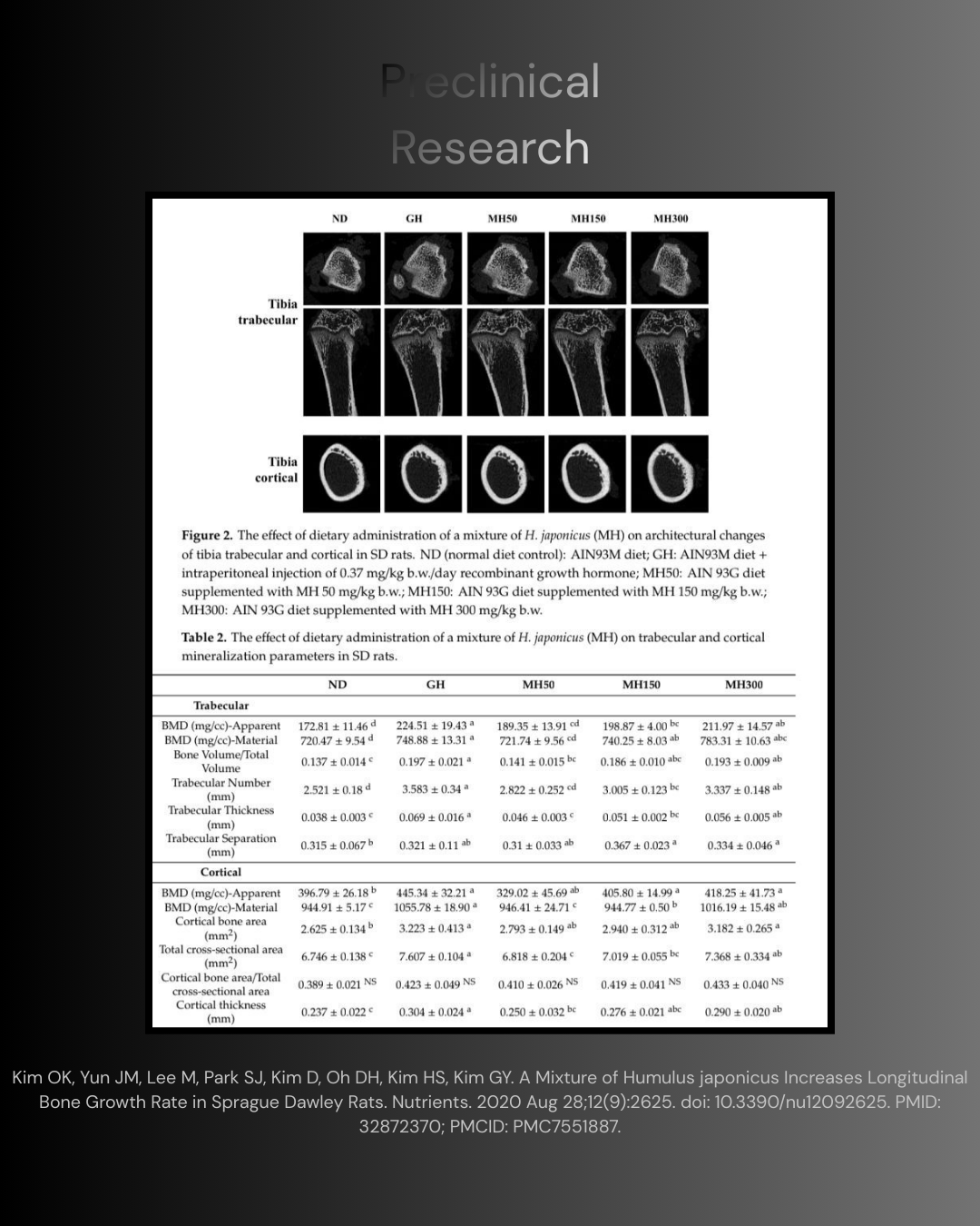 Humulus Japonicus SNEDDS