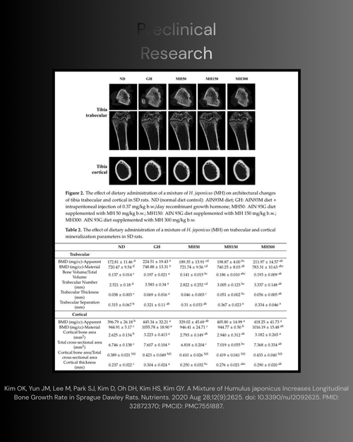 Humulus Japonicus SNEDDS