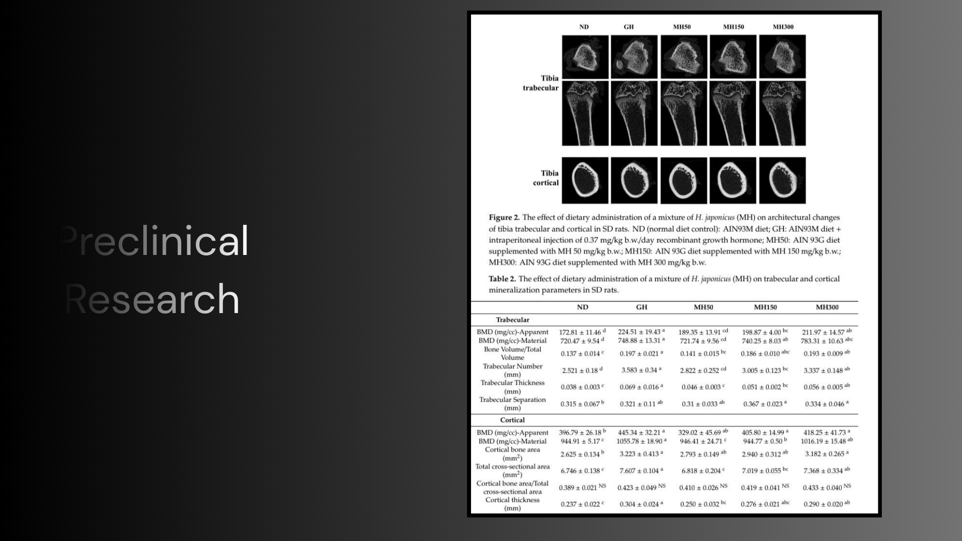 Humulus Japonicus SNEDDS