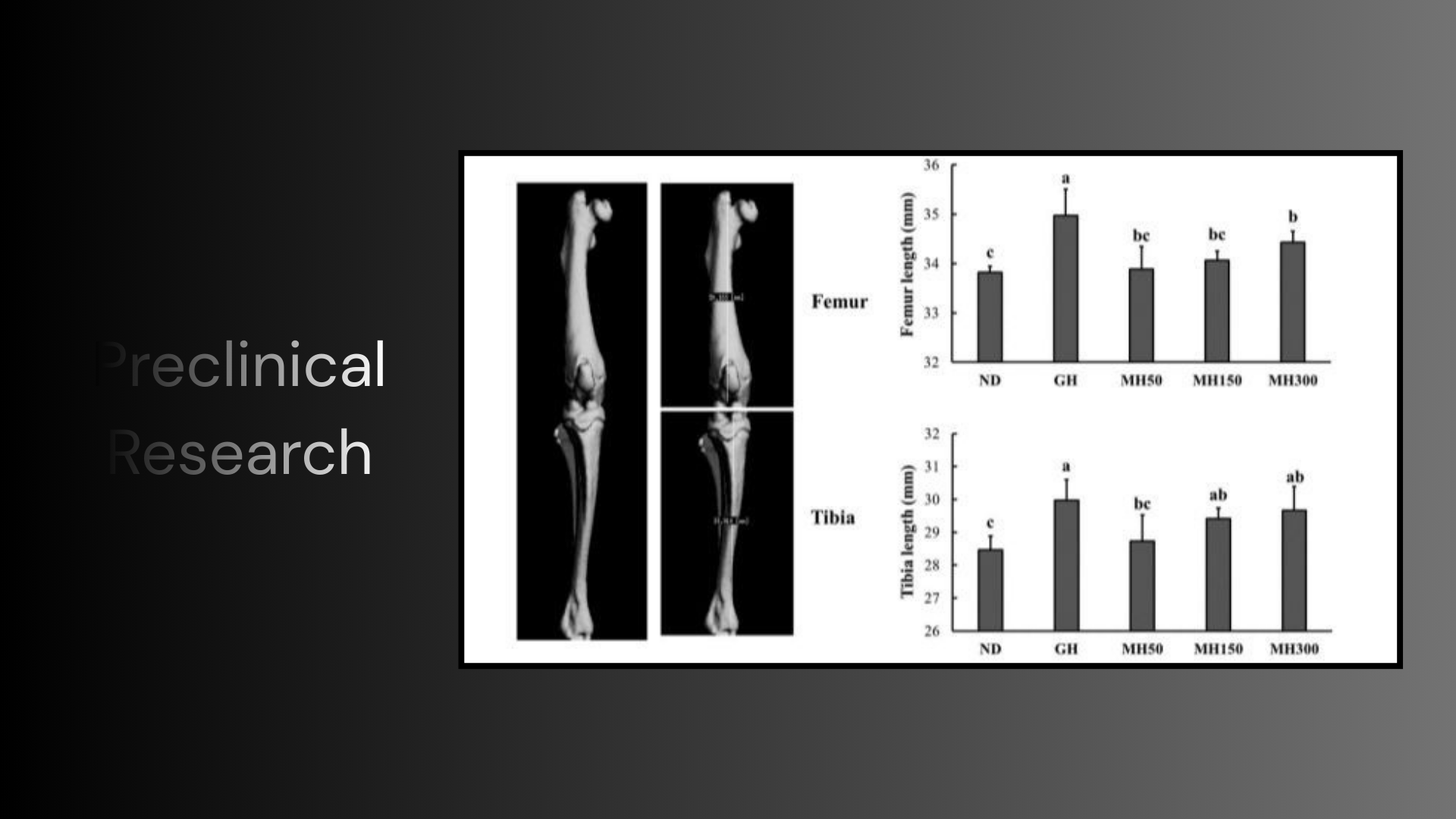 Humulus Japonicus SNEDDS