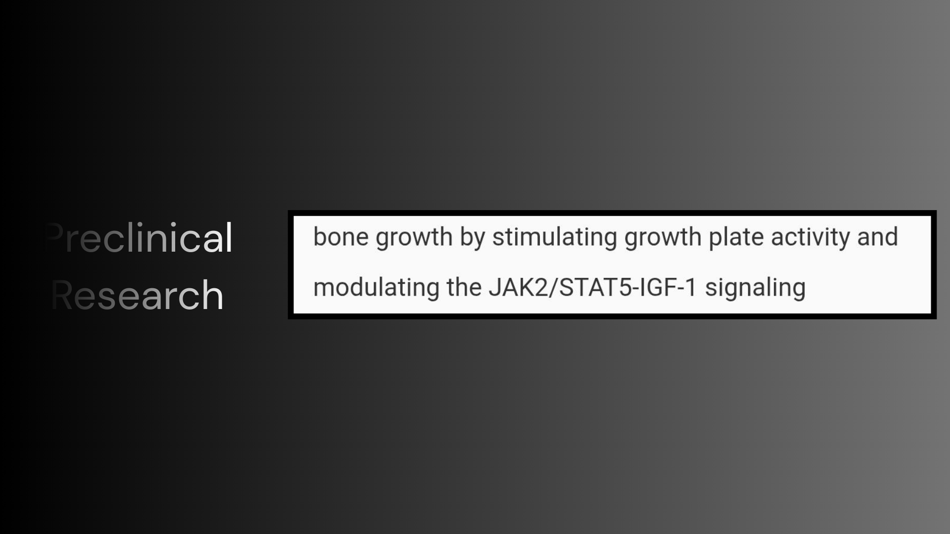 Humulus Japonicus SNEDDS