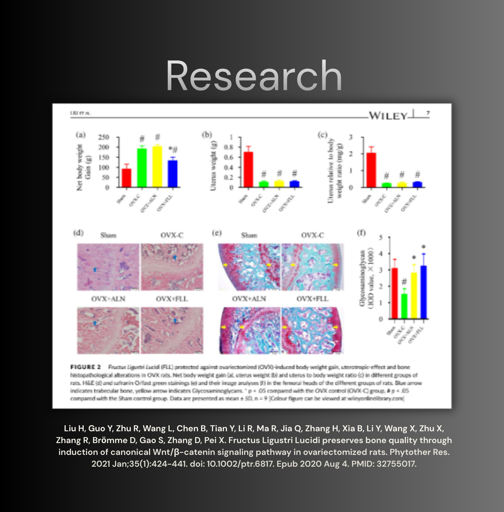 Osstivia SNEDDS (Legacy)