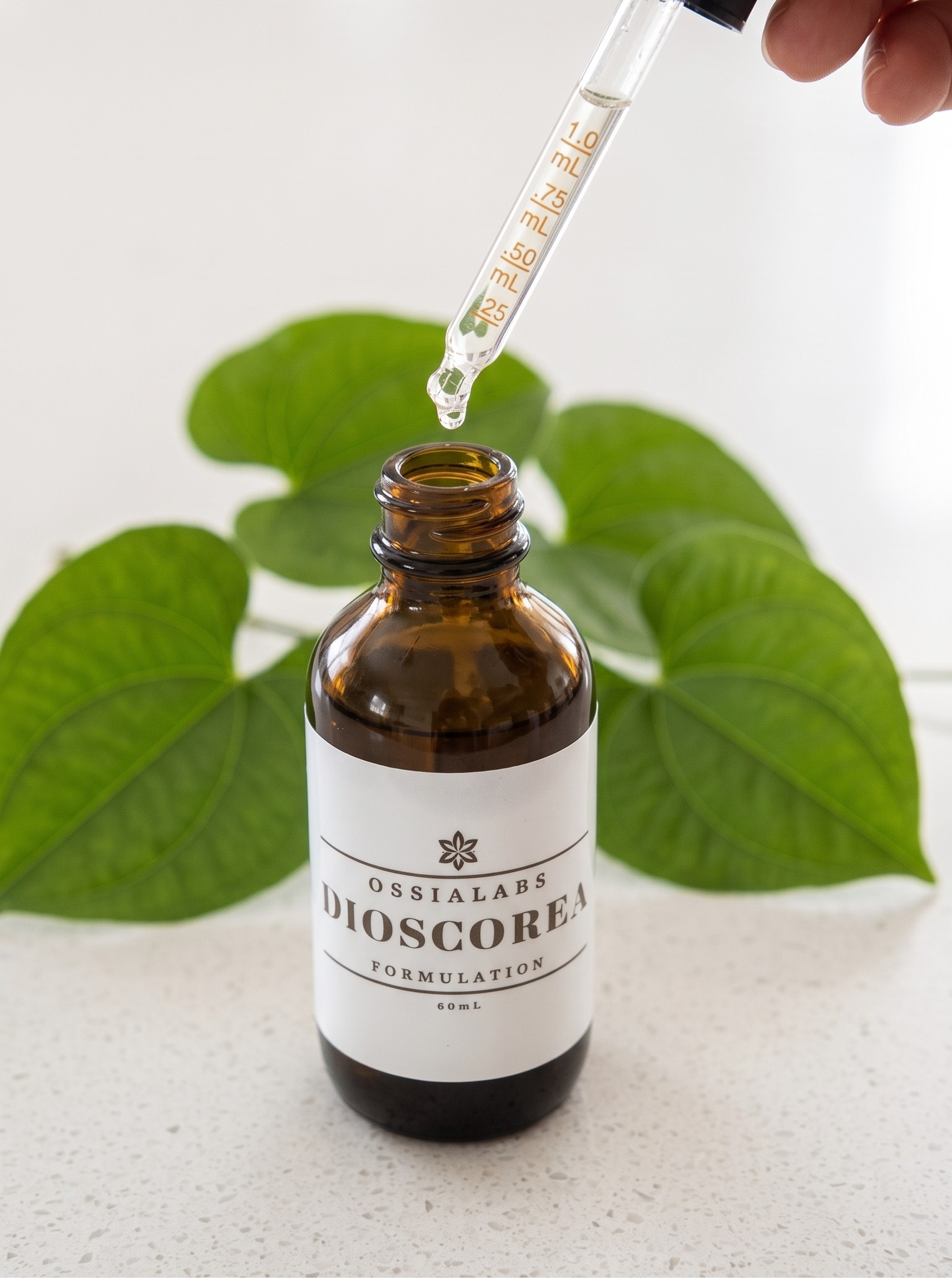 NEW Dioscorea SNEDDS (>40% Diosgenin)