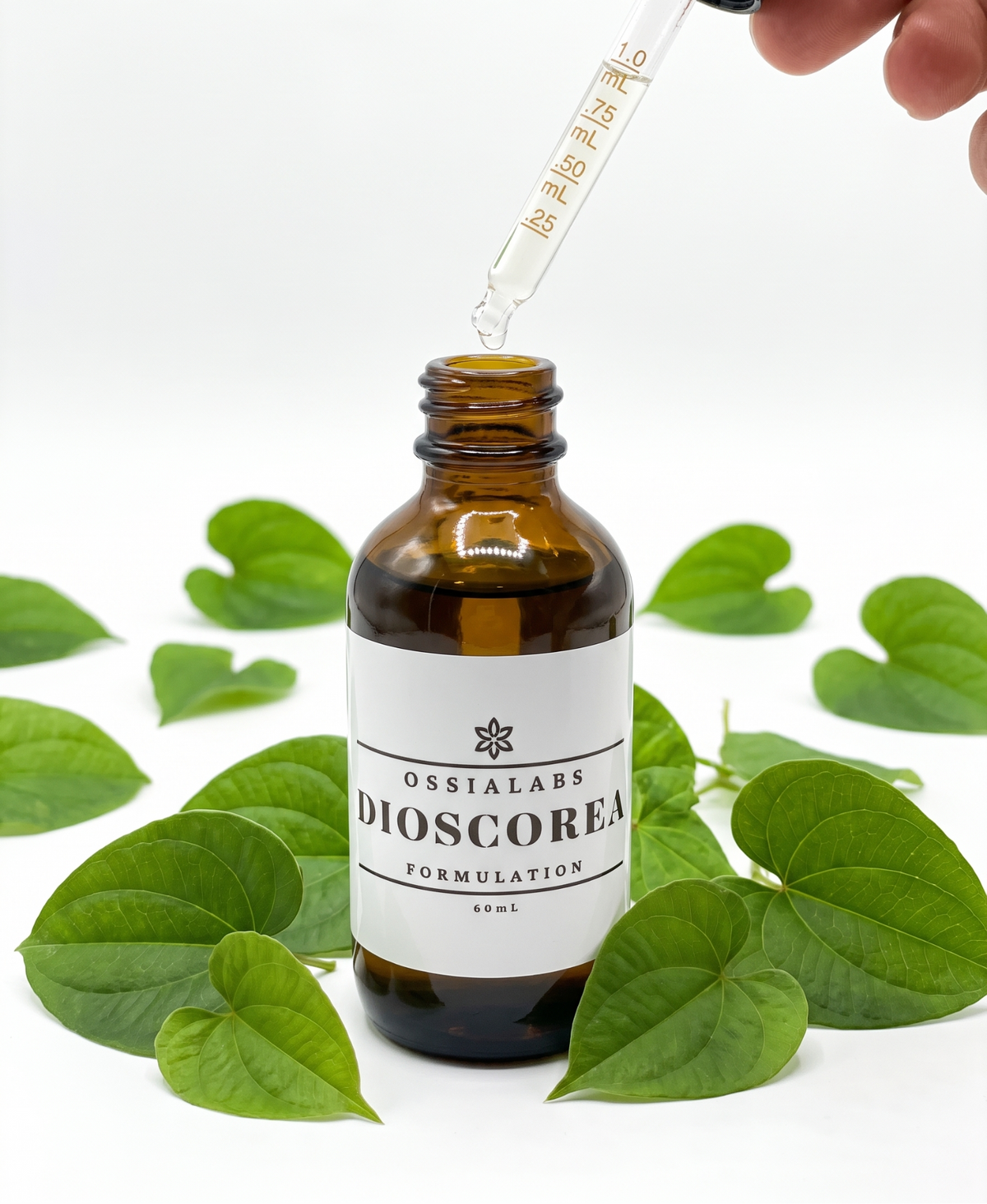 Dioscorea SNEDDS (>95% Diosgenin)