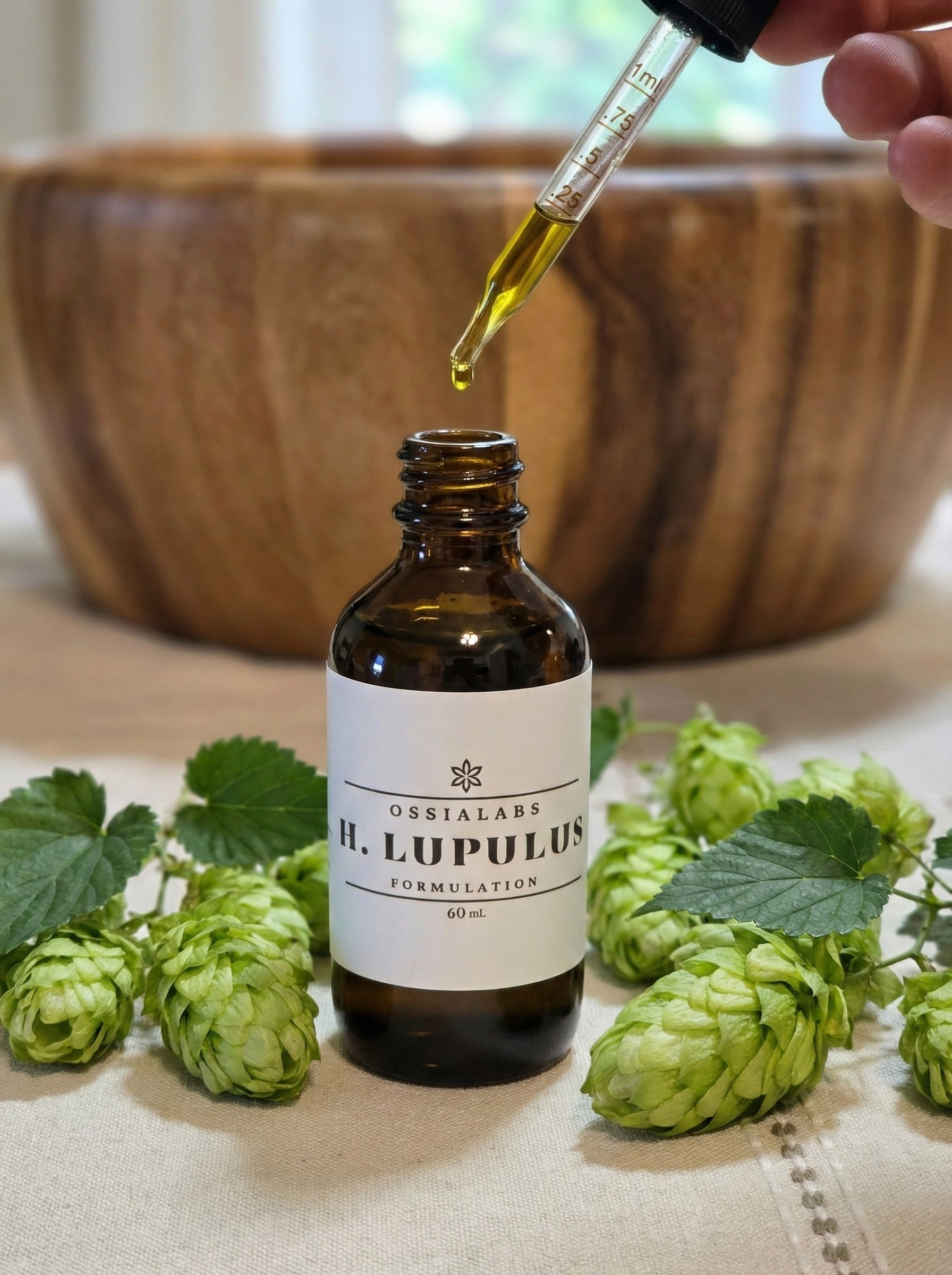 Humulus Lupulus SNEDDS