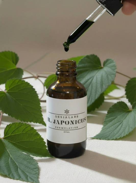 Humulus Japonicus SNEDDS