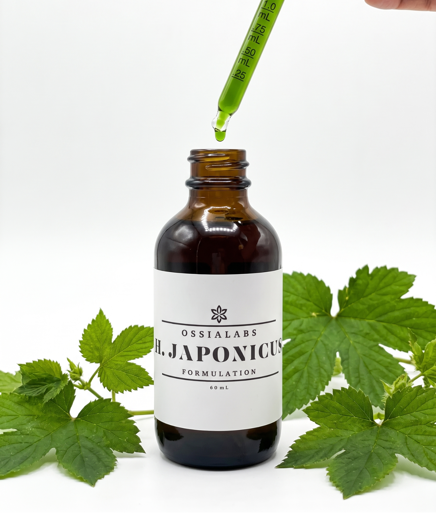 Humulus Japonicus SNEDDS