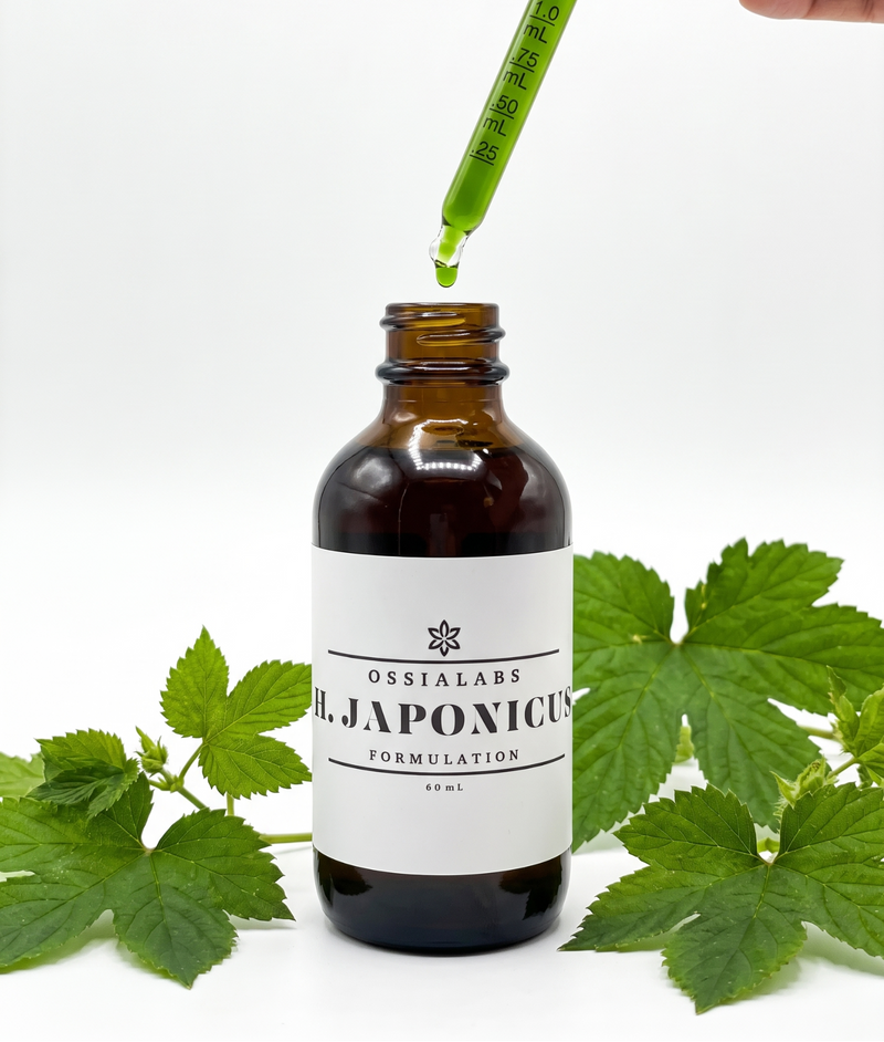 OssiaLabs H. Japonicus product photograph