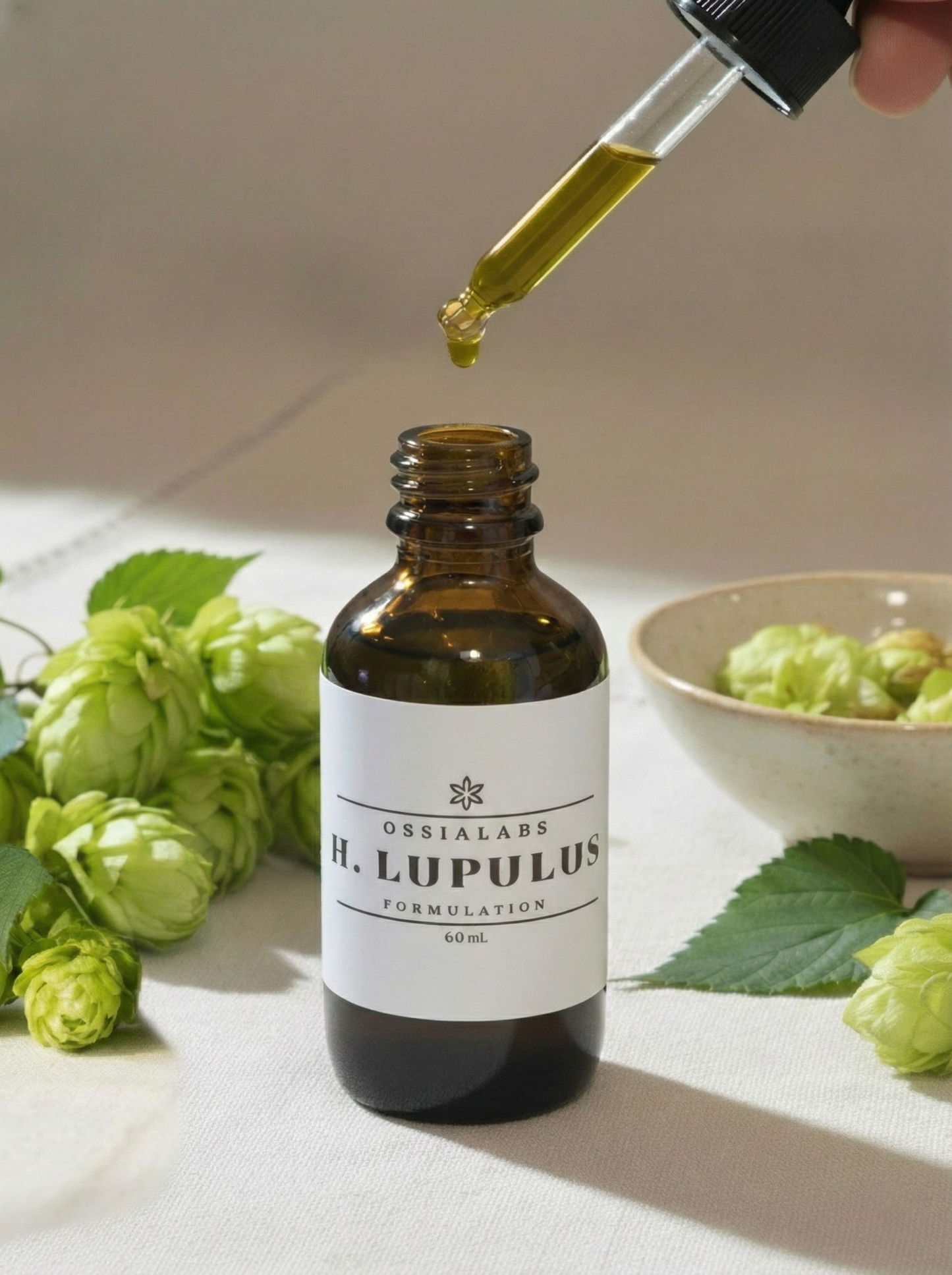 Humulus Lupulus SNEDDS